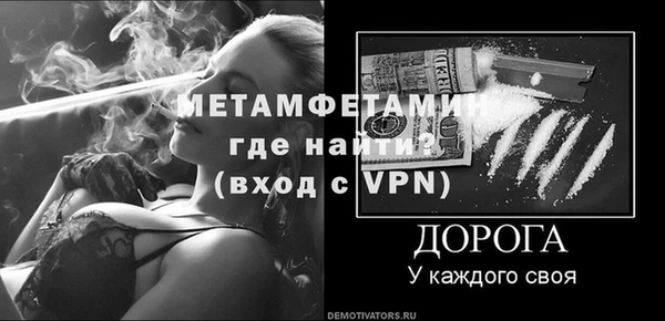 крисы Бородино