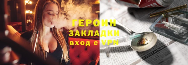 крисы Бородино