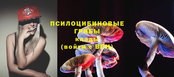 шишки Бронницы