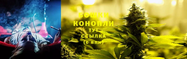 крисы Бородино