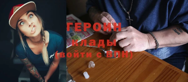 крисы Бородино