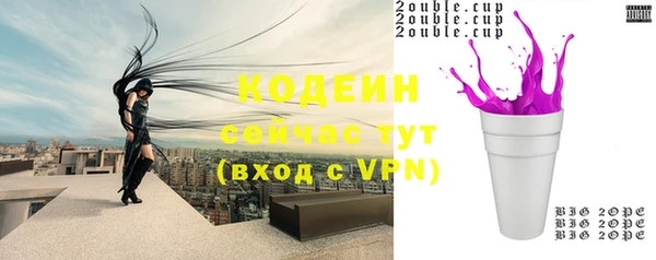крисы Бородино