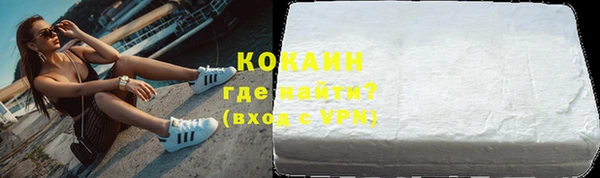 крисы Бородино