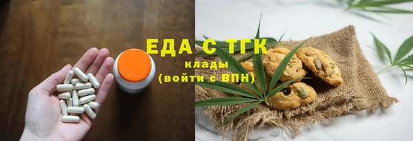 крисы Бородино