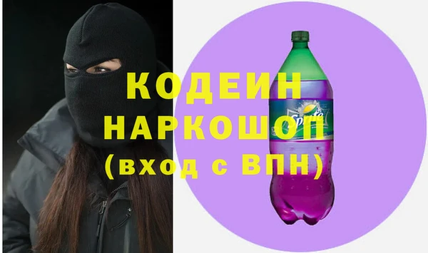 крисы Бородино