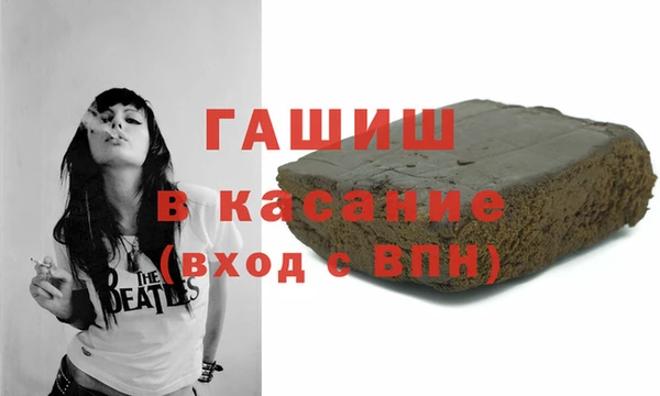 крисы Бородино