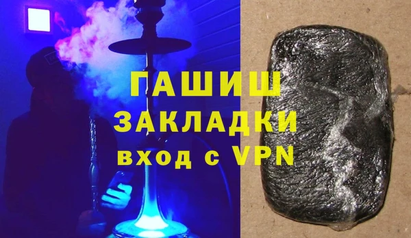крисы Бородино