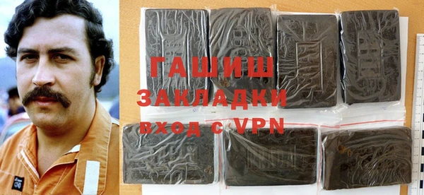 крисы Бородино