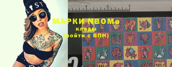 крисы Бородино