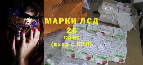 крисы Бородино