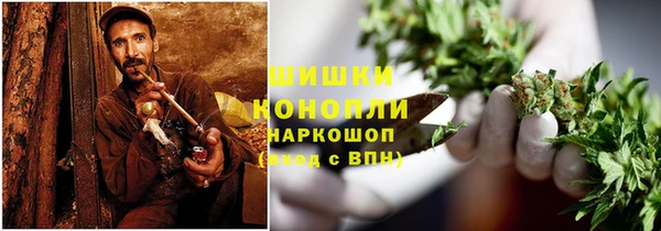 шишки Бронницы