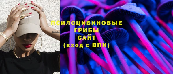 шишки Бронницы
