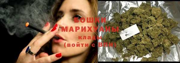 шишки Бронницы