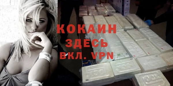 крисы Бородино