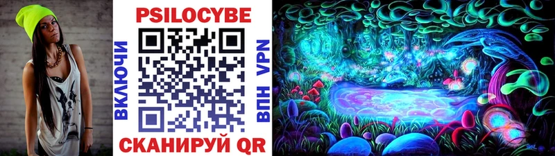 где продают   Новотроицк  Псилоцибиновые грибы мицелий 